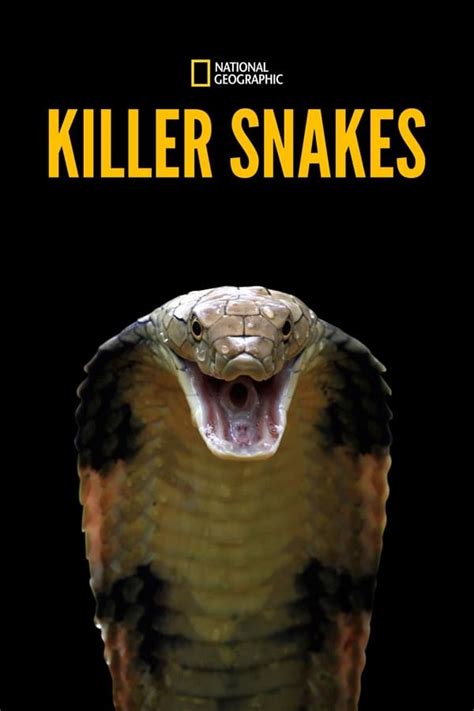 killer snake